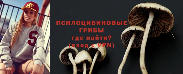 PSILOCYBIN Алексин