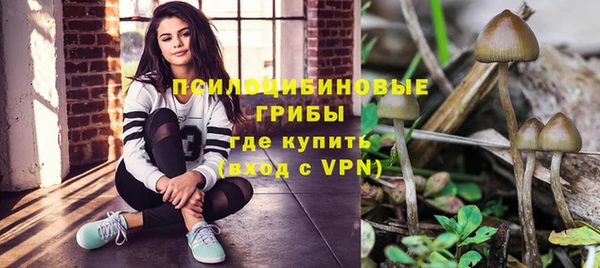 PSILOCYBIN Алексин
