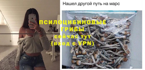 шишки Алзамай