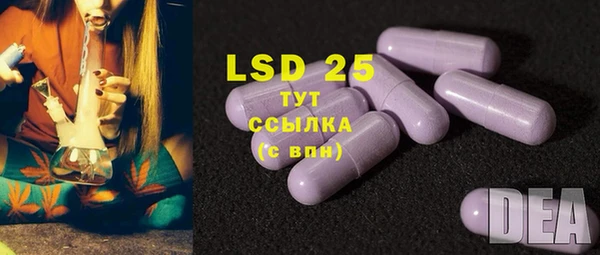 шишки Алзамай