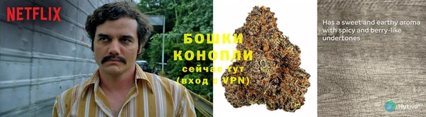 PSILOCYBIN Алексин