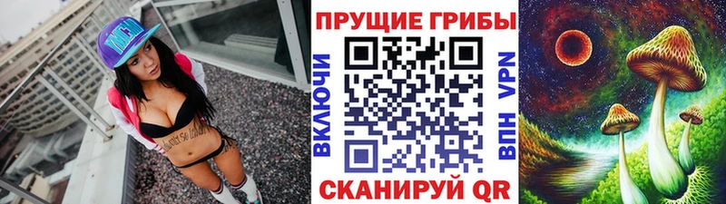 kraken   Харовск  Галлюциногенные грибы Magic Shrooms 